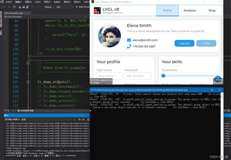 Widgets Demo .